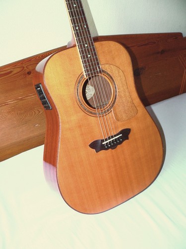 Washburn guitare d54 bois - washburn, sw
