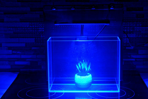 Reef nano tank aquarium - reef,