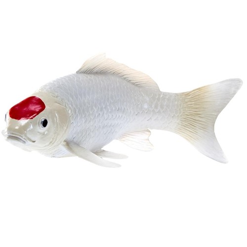 Mojo red dot tancho koi - red, carp