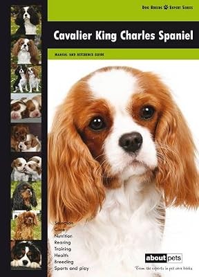 Cavalier king charles spaniel - charles,