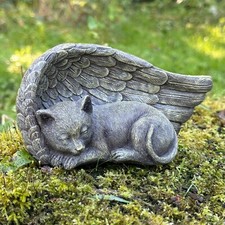Plaque Tombe Animaux Animal