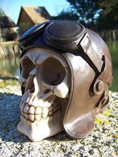 HF1566  TETE  DE MORT CRANE