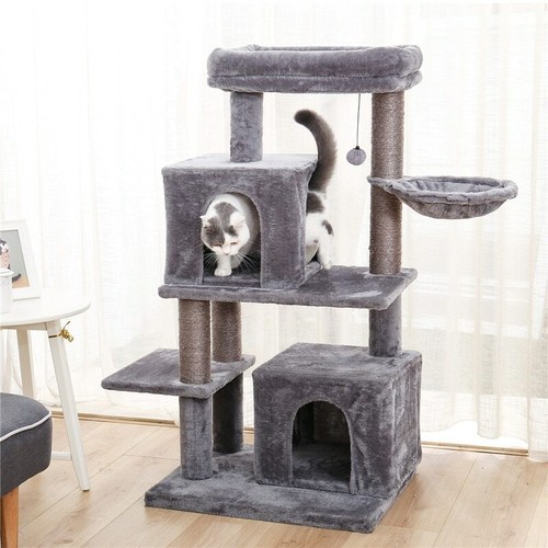 Arbre chat escalier - arbre,