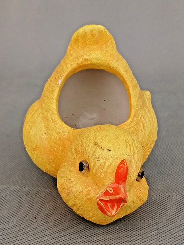 Poussin pique fleur - , en
