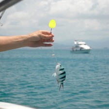  10 Pcs Article De Pêche Peche Au Coup Flotteur Accessoires Outil