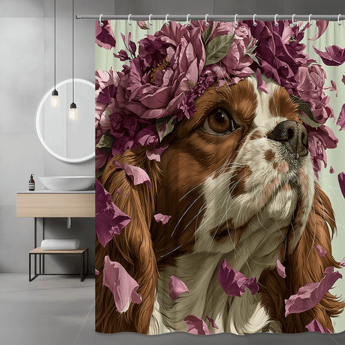 Cavalier king charles spaniel - cavalier,