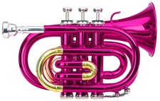 Trompette Instrument a Vent Cuivre 3 Pistons Embouchure Etui Chiffon Set pink