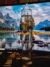 thermomètre de galilée