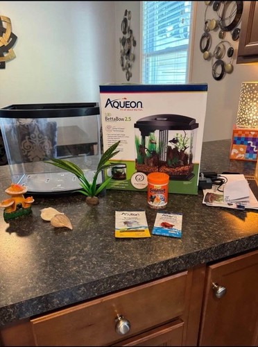 Fish tank aquarium with - fish,