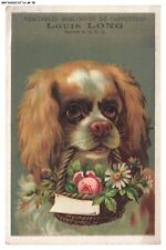 BL-BFP1-0330-CHROMOS - BERLINGOTS DE CARPENTRAS - Chien et paniers