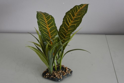 Terrarium vivarium large - vivarium,