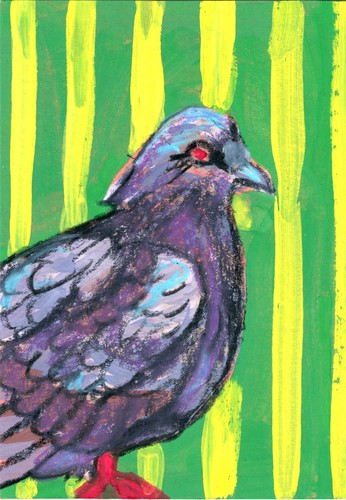 Aceo evil pigeon gouache - aceo,