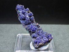 AZURITE / MALACHITE - ANHUI, CHINE - 6 x 2,5 cm - 40 g avec socle plastique