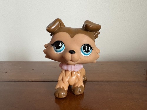 Petshop colley 893 - colley, n°893
