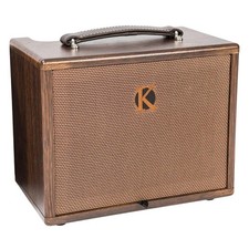 Ampli Guitare accoustique 45W