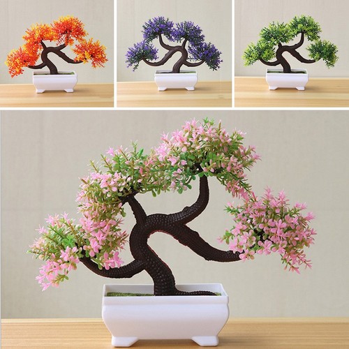Plantes artificielles pour - , en