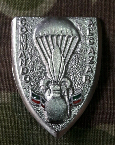 Insigne commando alcazar 1er - insigne,