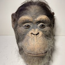 ED movie Prop Chimpanzee Maquette 1:1 S￼cale  Original Production Props WOW