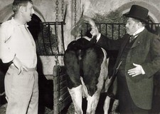 PHOTO PRESS TELEVISION FILM THE GREEN MARE