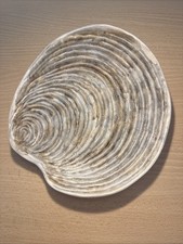 Assiette Coquille Guillot Avec