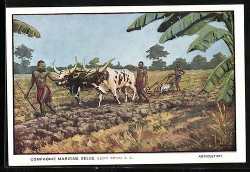 Carte postale compagnie - postale,