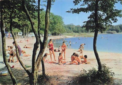 Lorris etang des bois - 45,