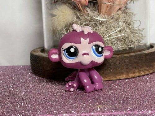 Petshop singe capucin - 🌸petshop,