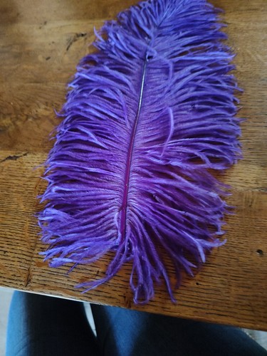 Anciennes plumes autruches - anciennes,