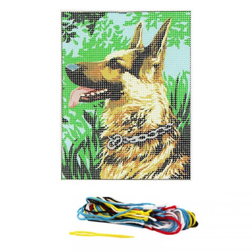 Kit complet canevas 20 - x, cm