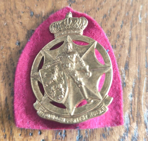 Insigne béret protection - insigne,