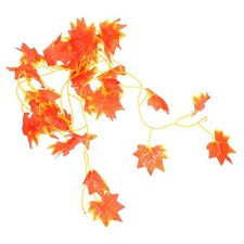  Accessoire Terrarium