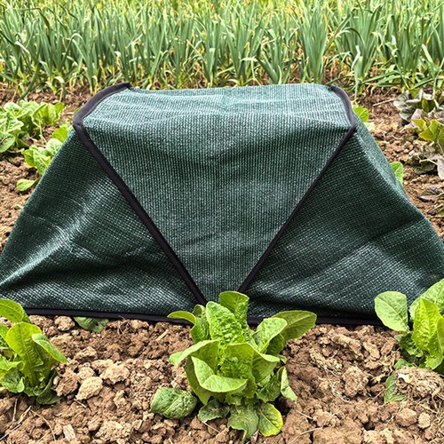 Tente ombrage pour - tente,
