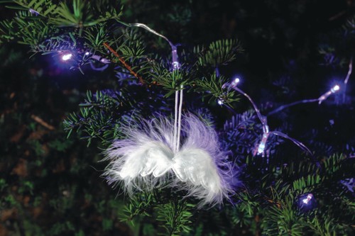 Lot ailes ange - lot, 3