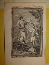 gravure de martinet variation