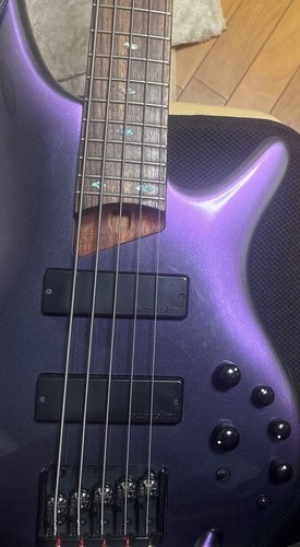 Ibanez sdgr cordes basse - 5,