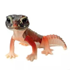 Mini figurine capsule gecko