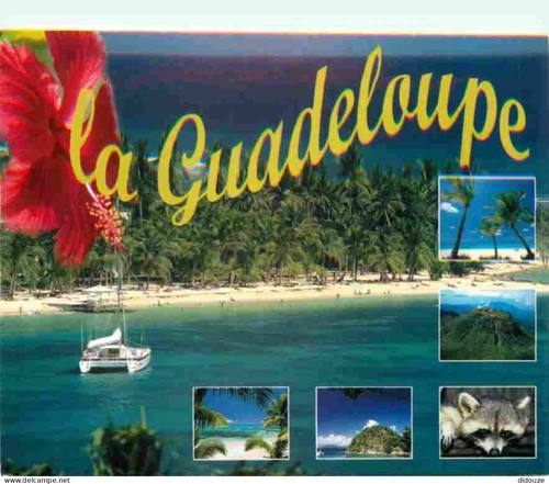 Postcard guadeloupe - postcard,