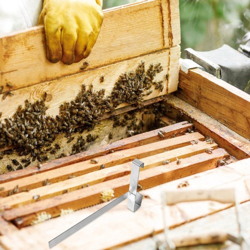 Beekeeping tool beehive frame - beekeeping,