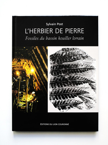 Fossiles bassin houiller - bassin,