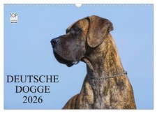 Dogue allemand 2026 (Calendrier mural 2026 DIN A3 horizontal), CALVENDO calendri
