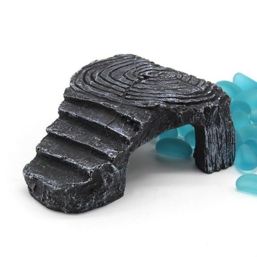 Tortue lézarder reptile - lézarder,