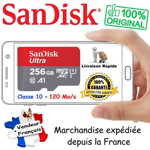 Sandisk carte mémoire 256 - -,