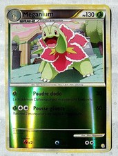 HeartGold SoulSilver  cartes