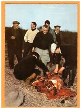 RUNNING HUNT / BUTCHERY SCENE / LA CUREE circa 1950