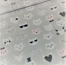 Tissu Tete de Chat Coton 100%