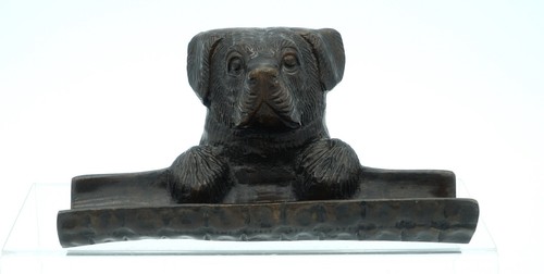 Labrador retriever bronze - en,