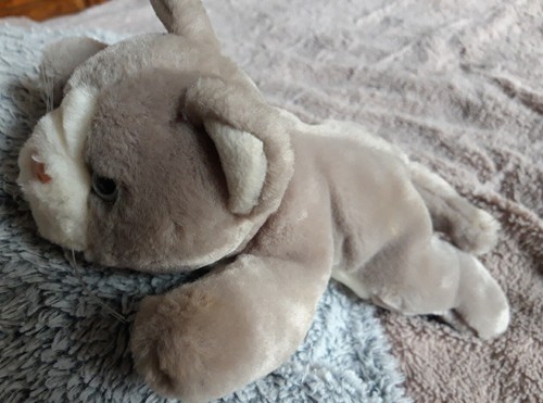 Peluche doudou chat - f1/,