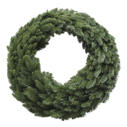 Triumph tree abies - tree, nordmann