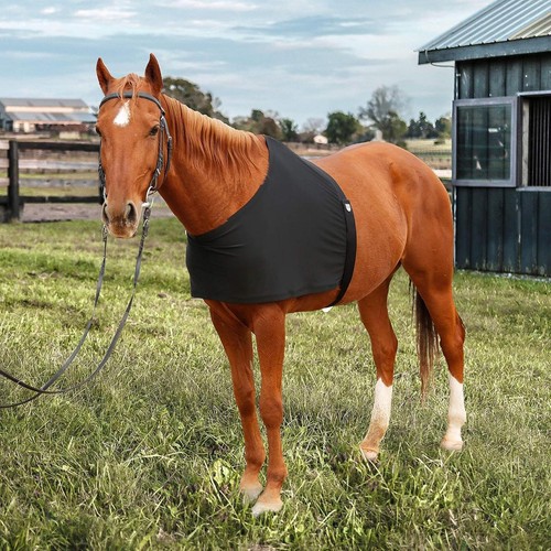 Gilet protection pour - gilet,