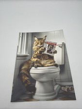 Affiche Chat Maine Coon WC